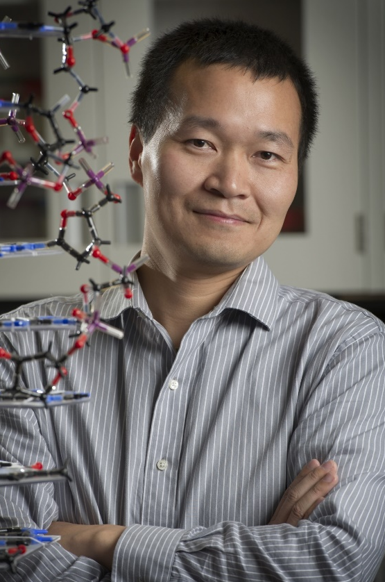 米兰买球创新论坛第一千九百七十八讲：核酸适配体筛选：从小分子到微塑料