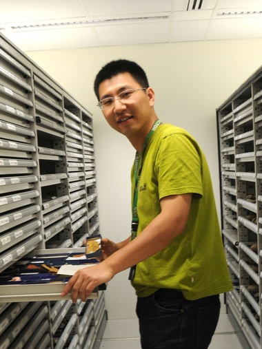米兰买球创新论坛第一千八百零一讲：虫鸣凤舞伴花香：现代陆地生态系统的起源