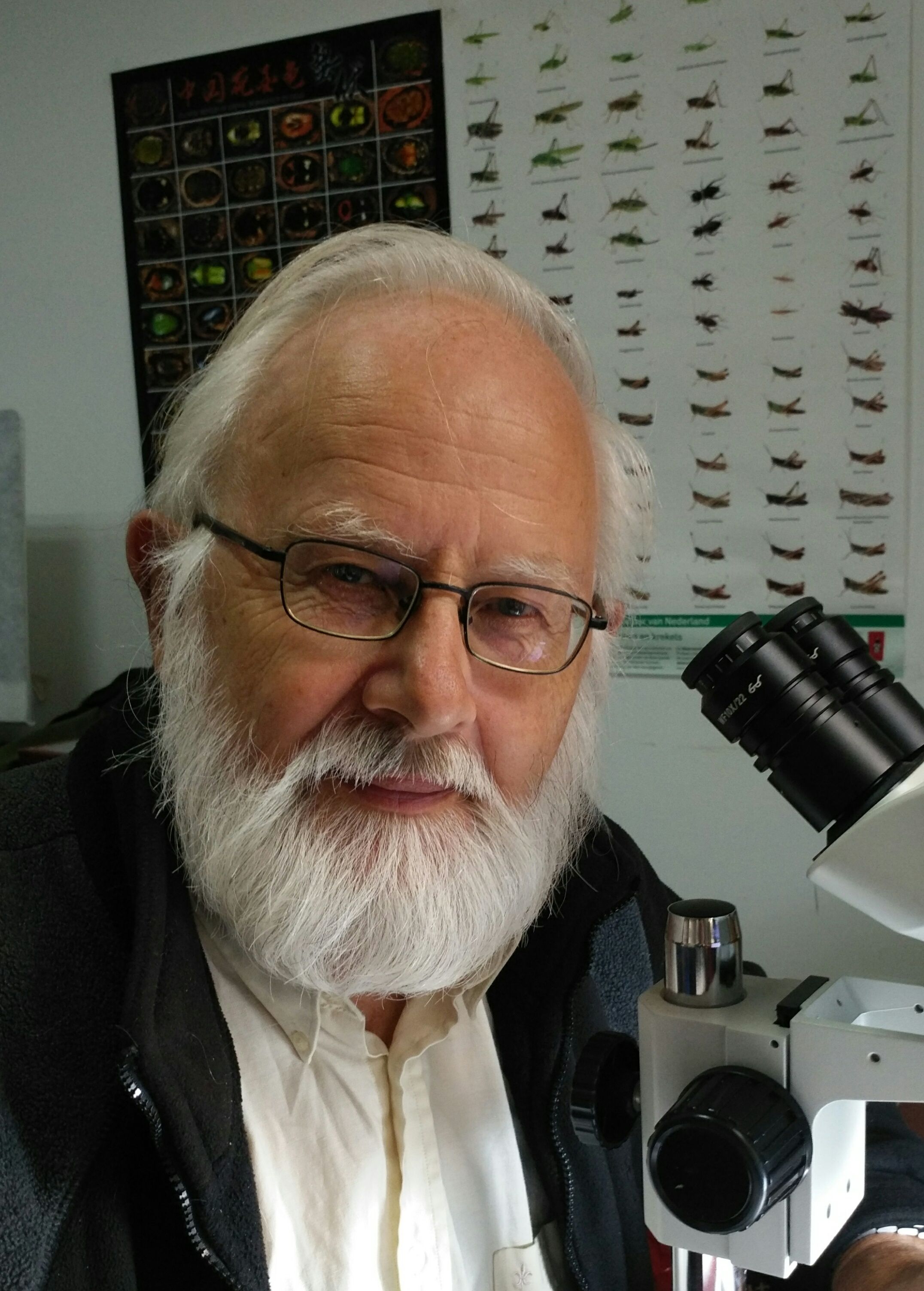 米兰买球创新论坛第八百零九讲暨校庆117周年学术讲座：Parasite rex: the unknown diversity of parasitoid wasps