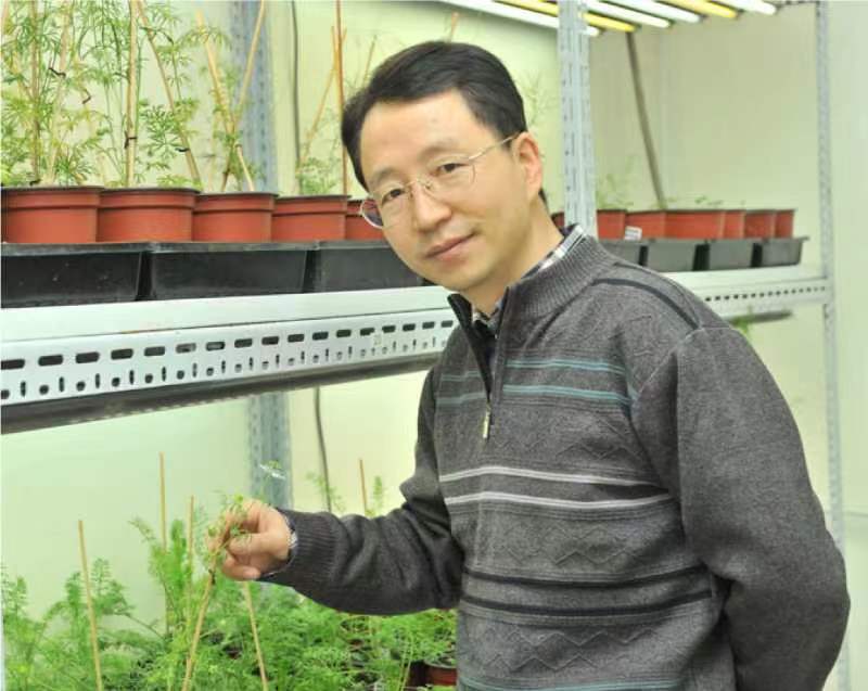 米兰买球创新论坛第一千二百六十八讲暨120周年校庆年系列活动：复杂花瓣的发育与进化