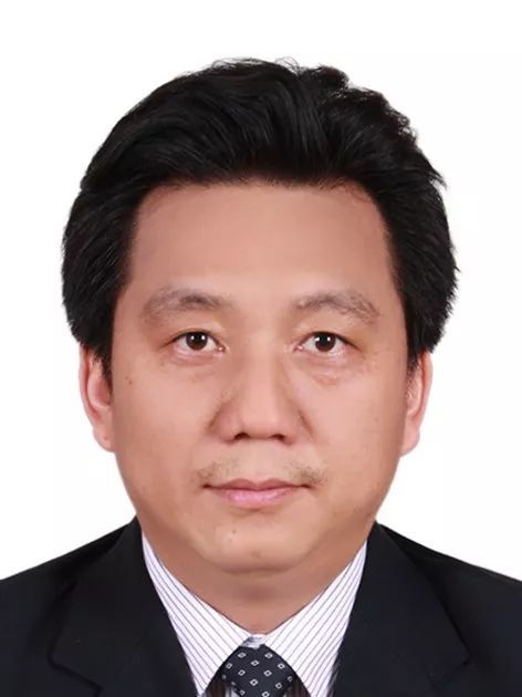 米兰买球创新论坛第一千零五十二讲： 有机染料—功能化及稳定性强化