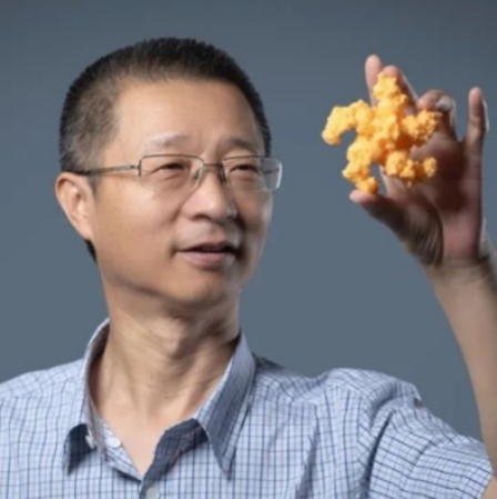 米兰买球创新论坛第一千六百二十六讲：植物的免疫机制